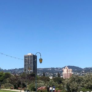 Meet your Posher, Ellie